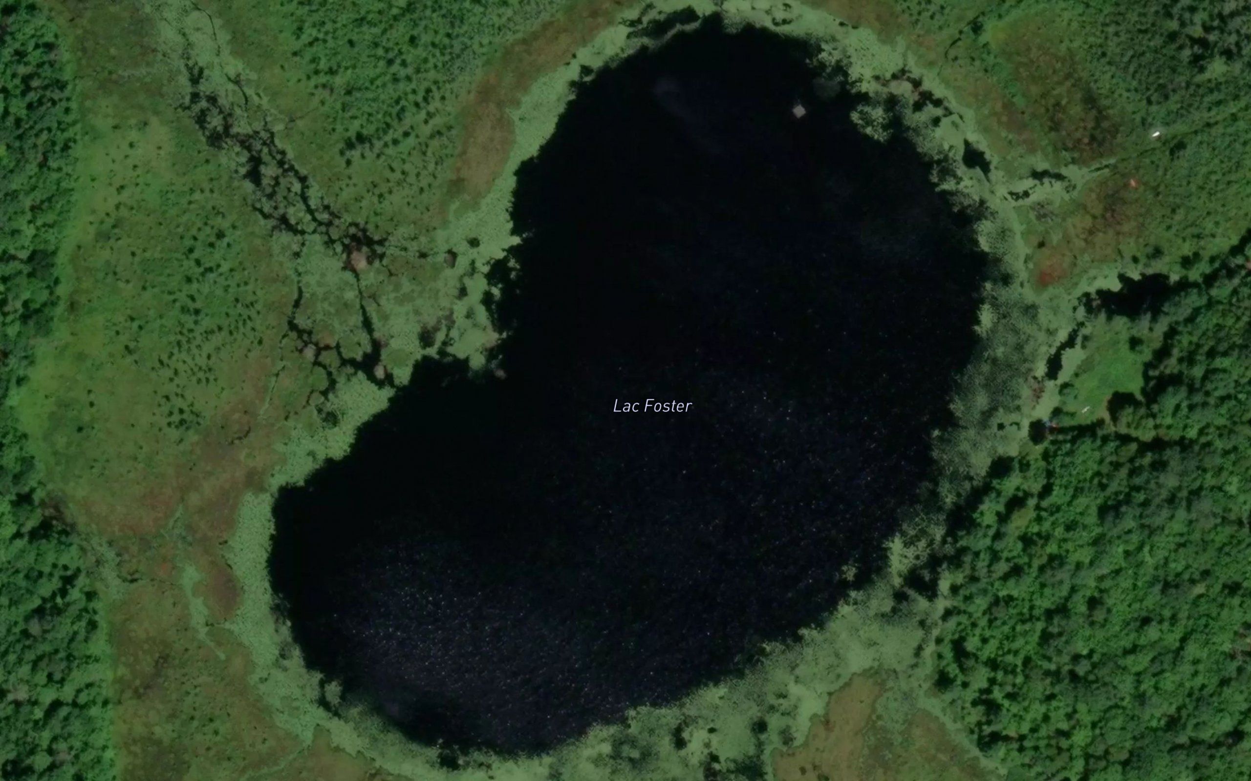 Lac Foster