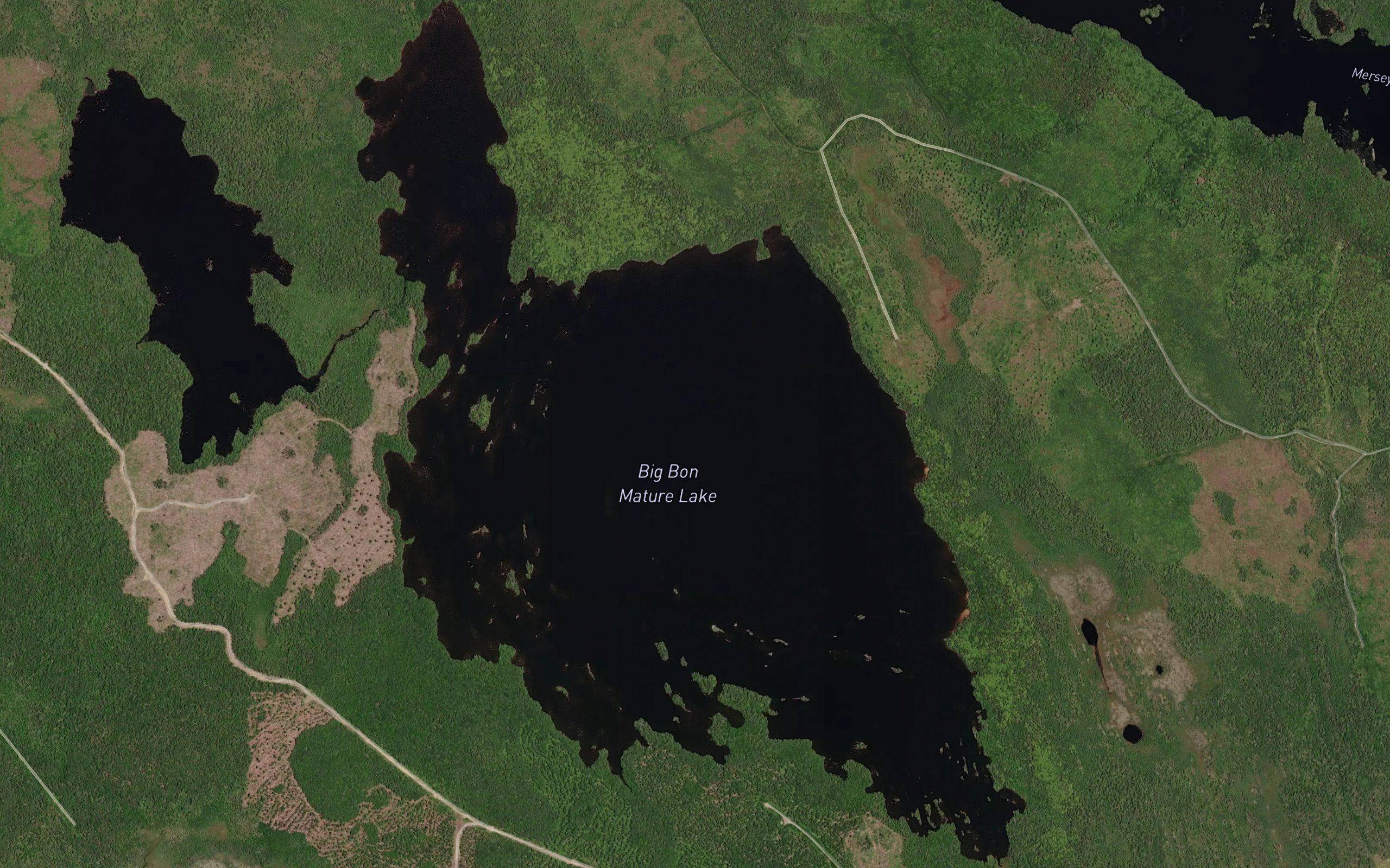 Big Bon Mature Lake