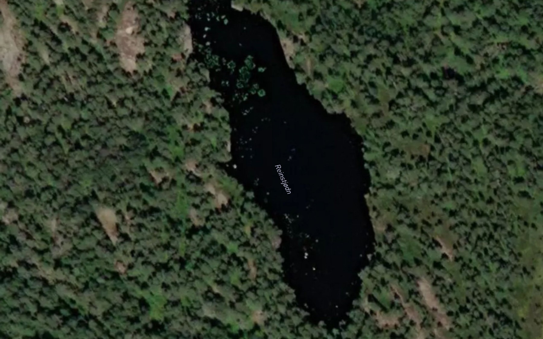 Satellite map of the Reinstjodn