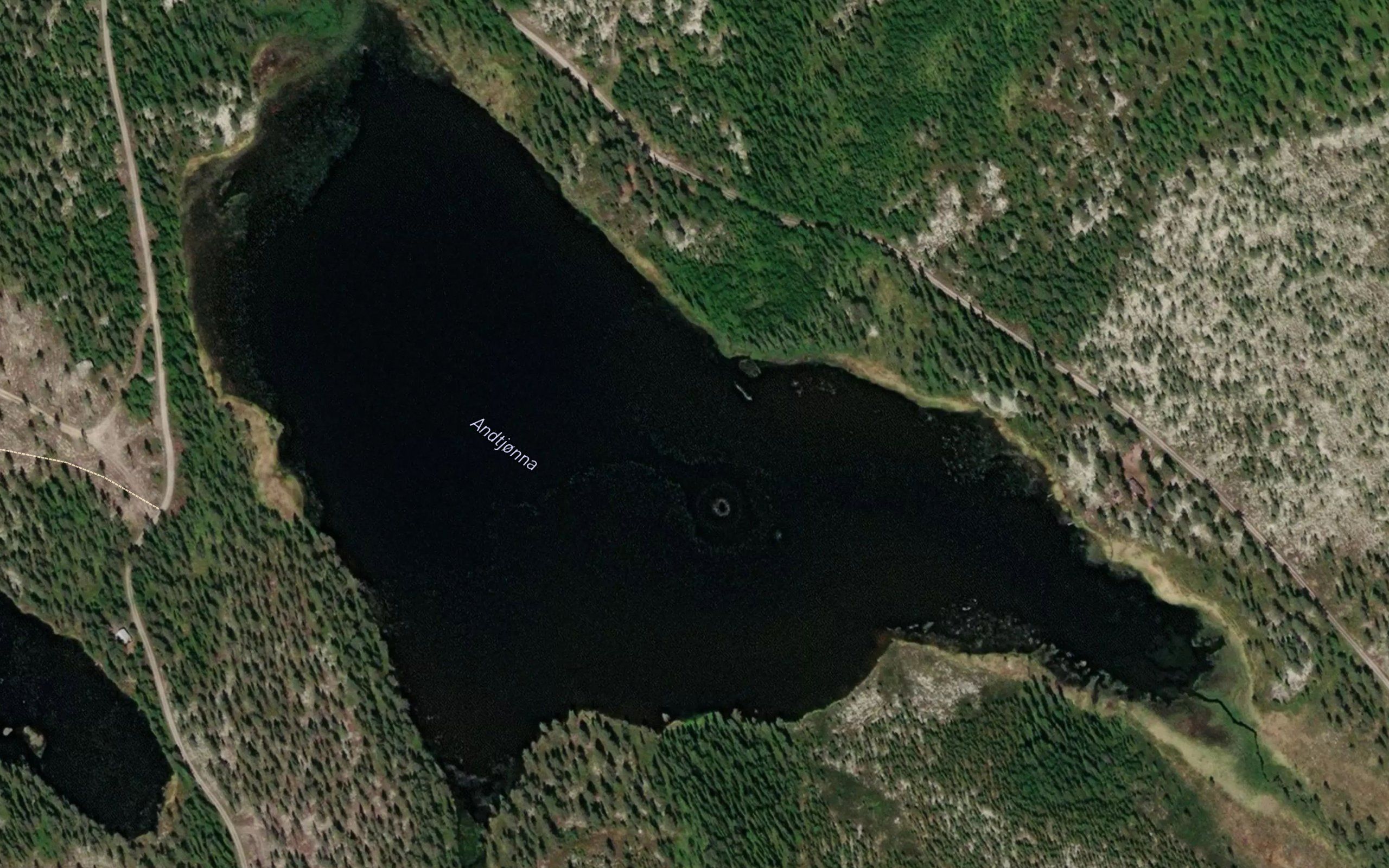 Andtjorna