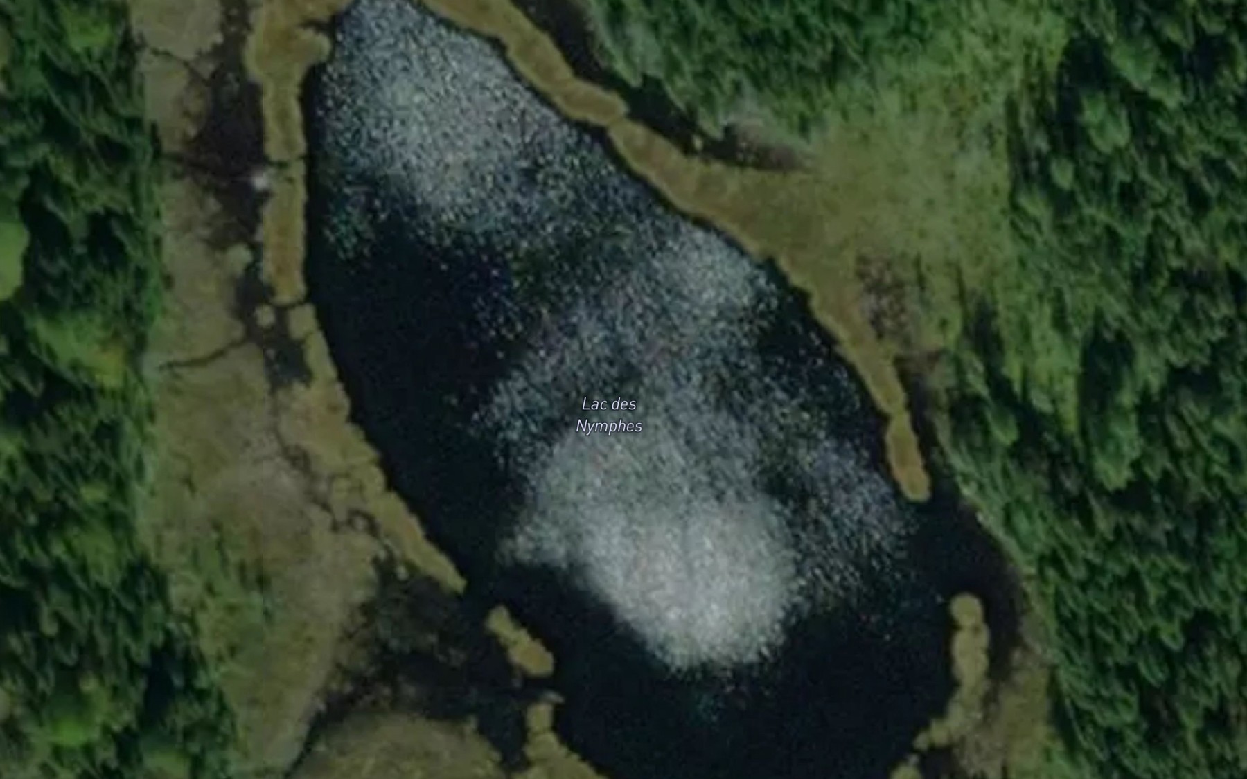 Satellite map of the Lac des Nymphes