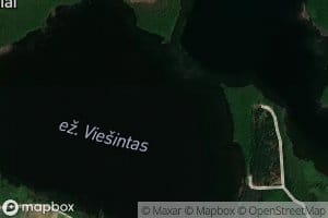 Ezeras Viesintas
