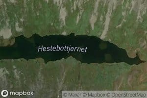 Hestebottjednet