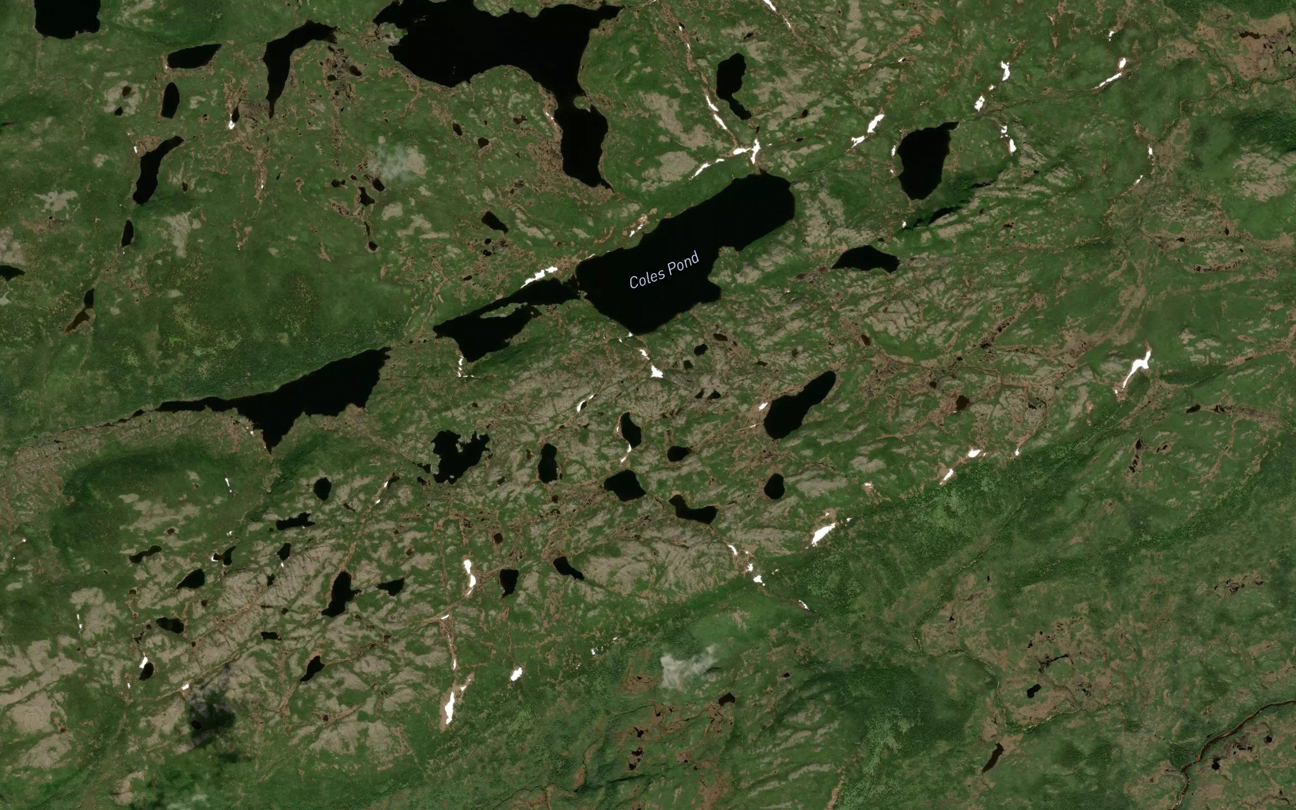 Coles Pond