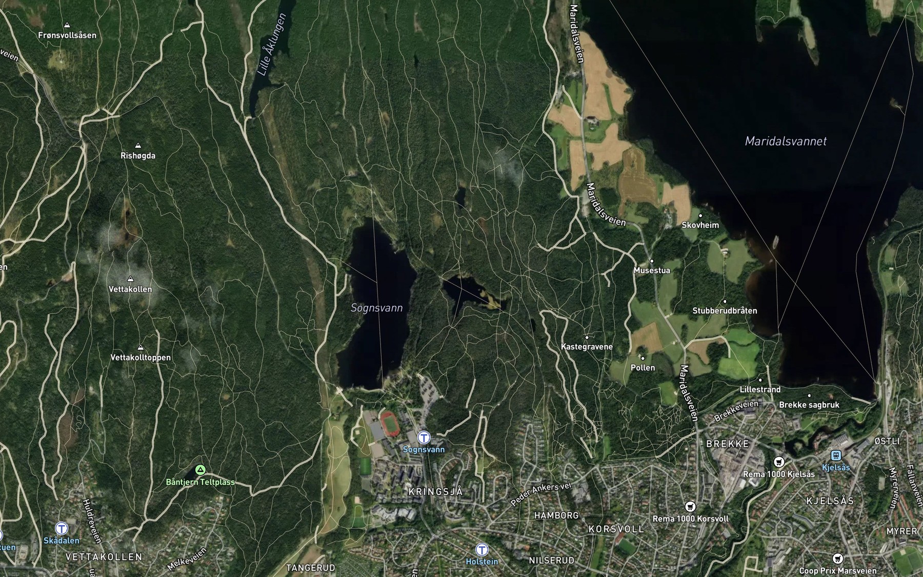 Satellite map of the Svartkulpen