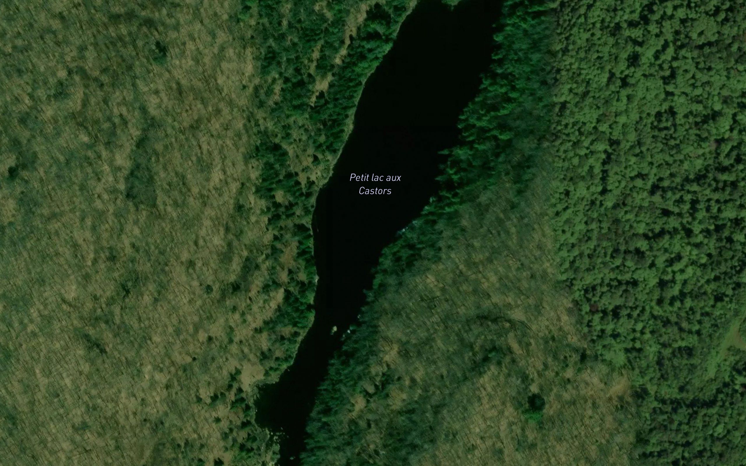 Petit lac aux Castors