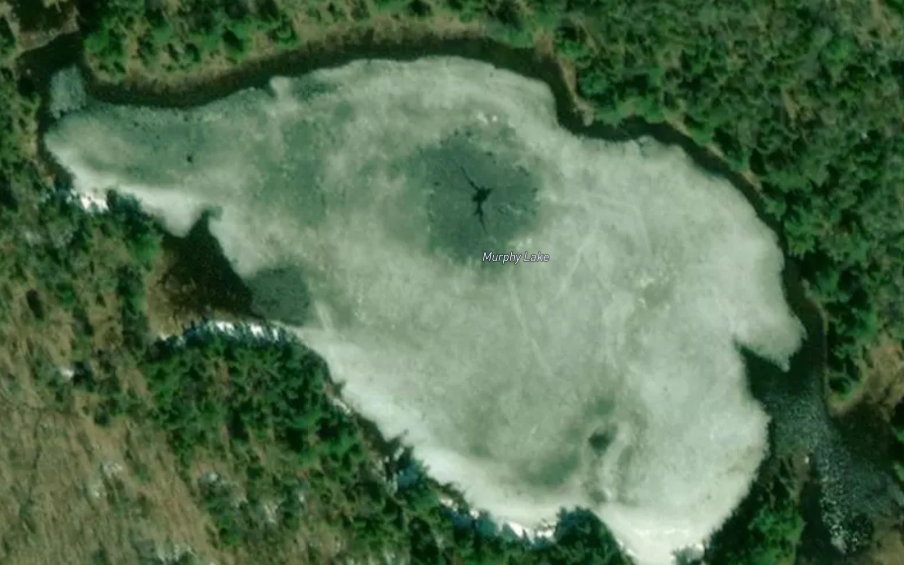 Satellite map of the Murphy Lake