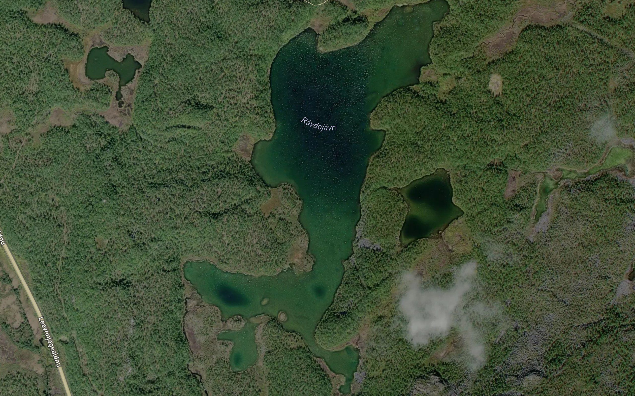 Ravdujavri