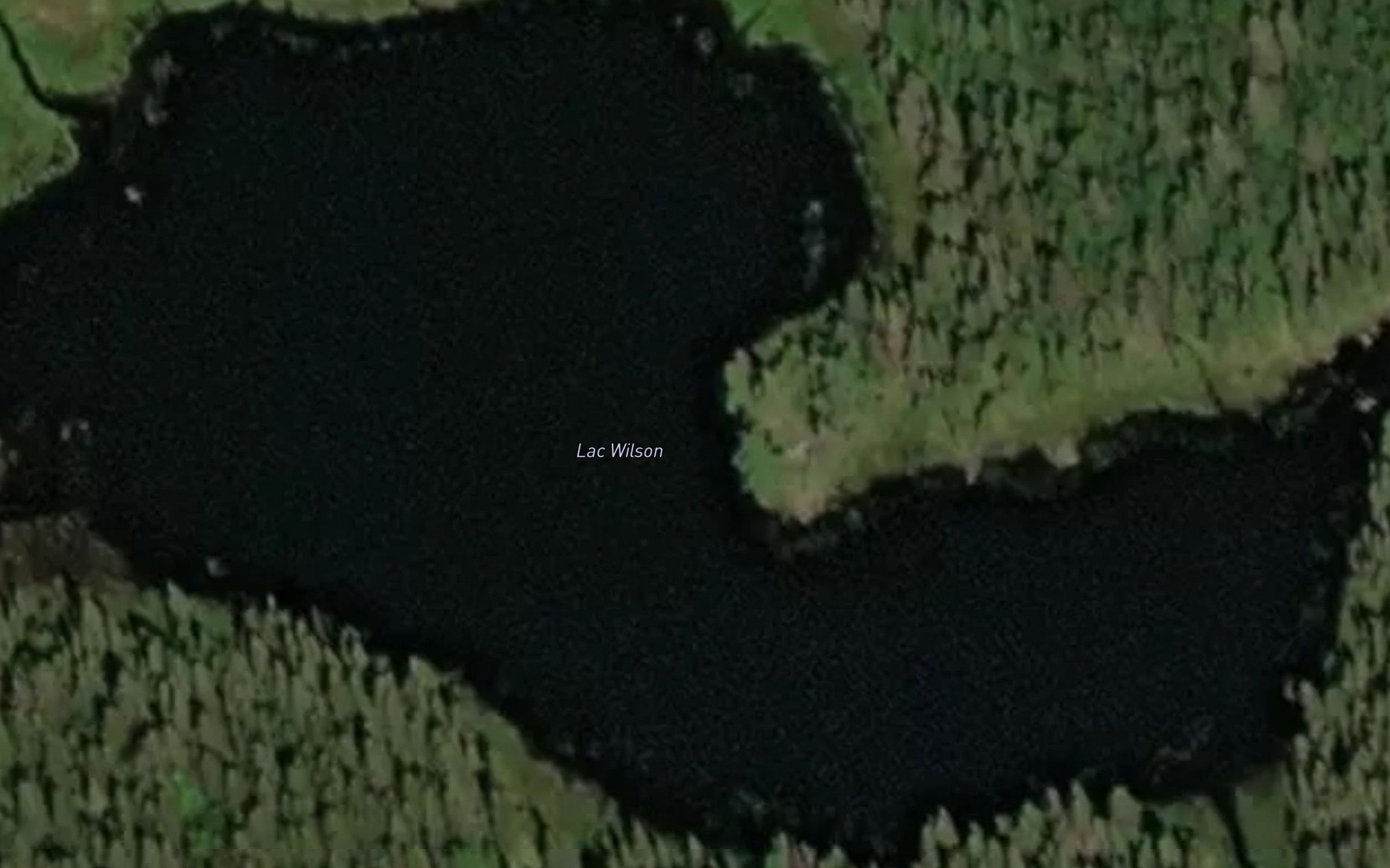 Lac Wilson