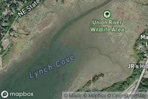 Lynch Cove