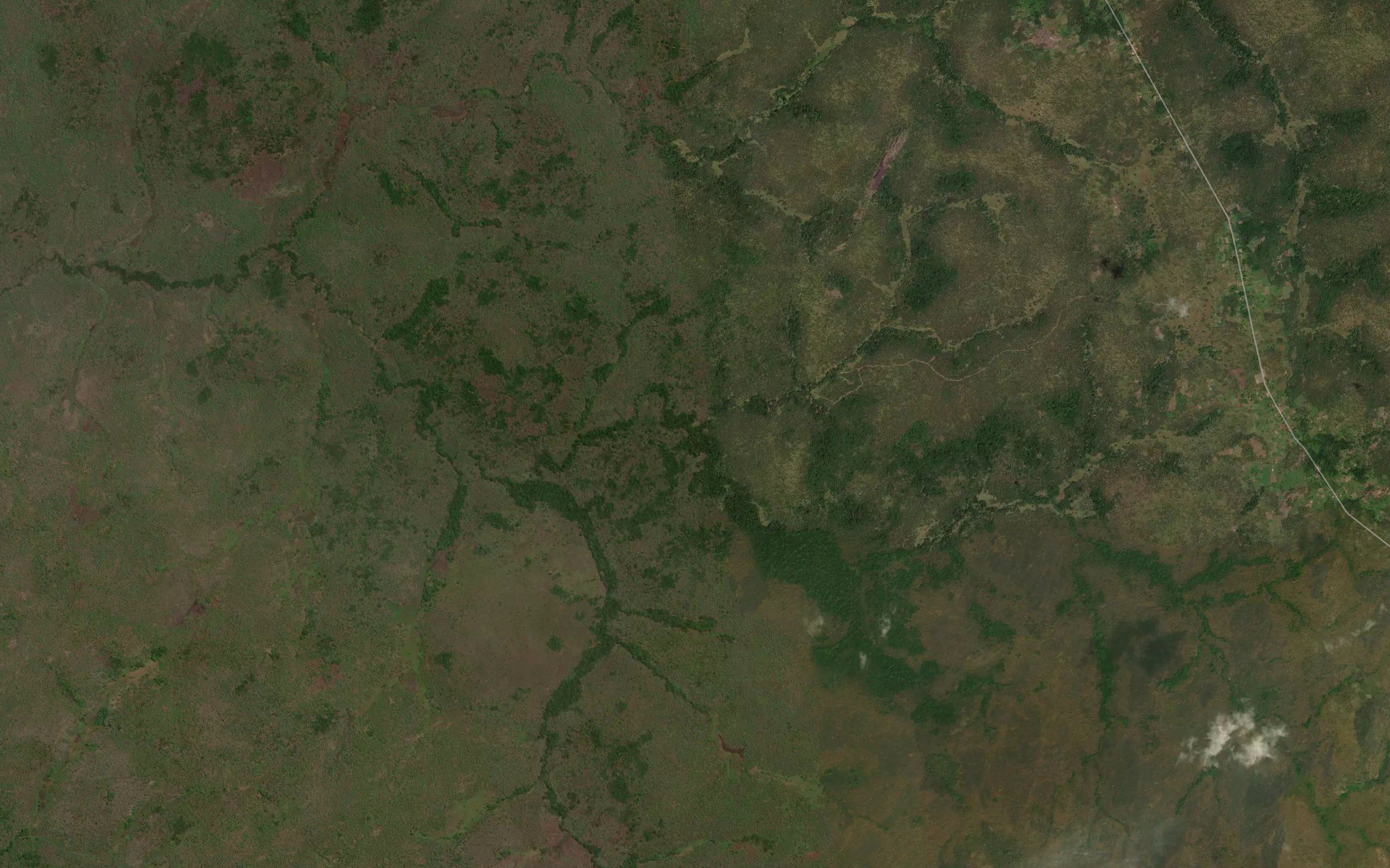 Kalambora