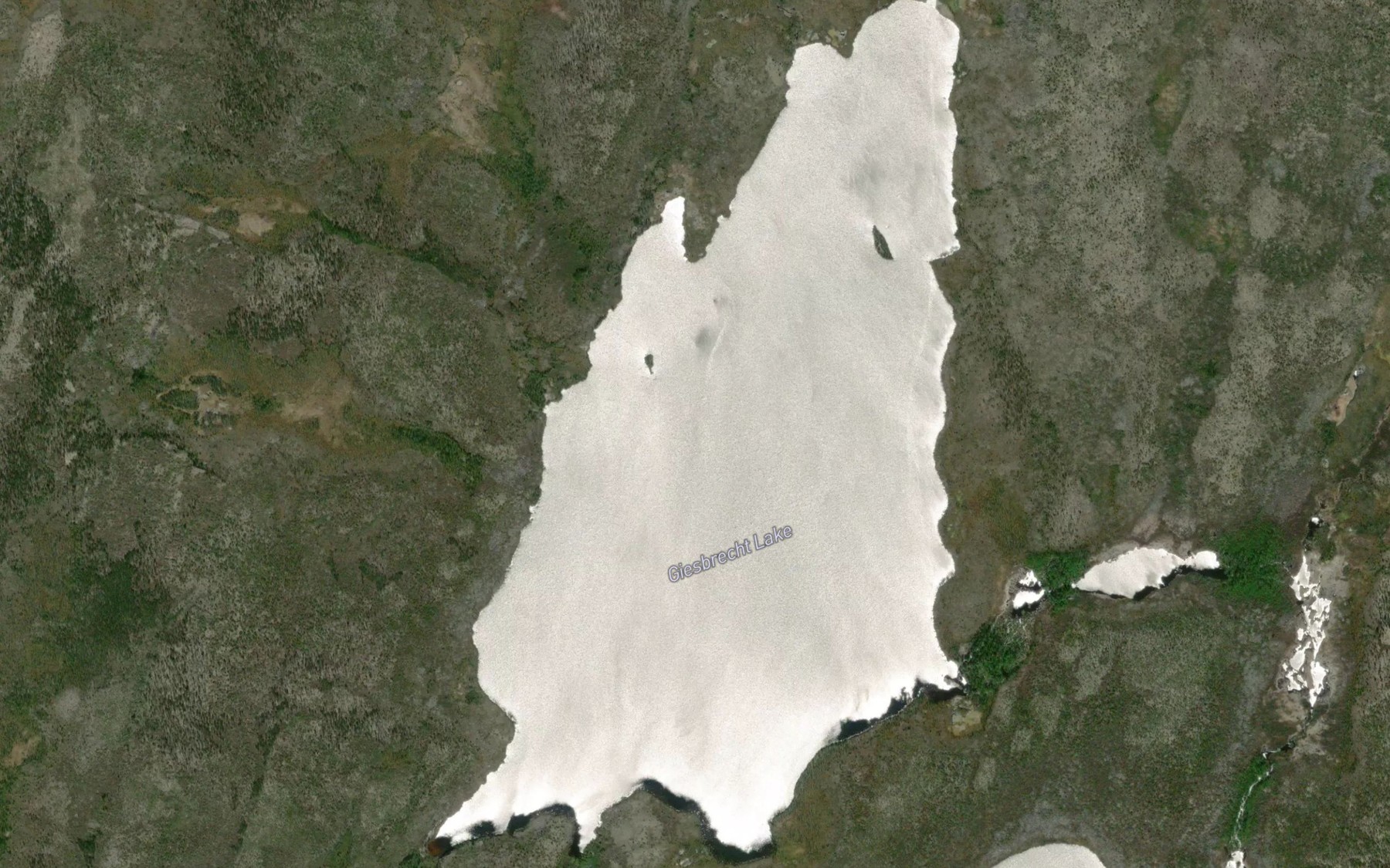 Satellite map of the Giesbrecht Lake