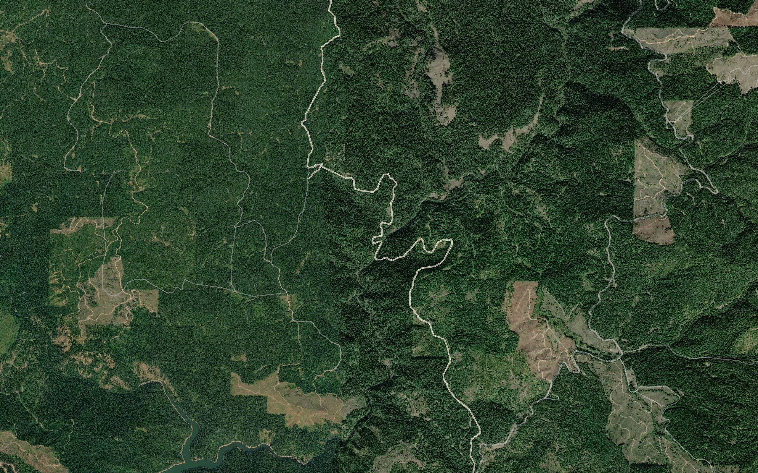 Cloverleaf Creek