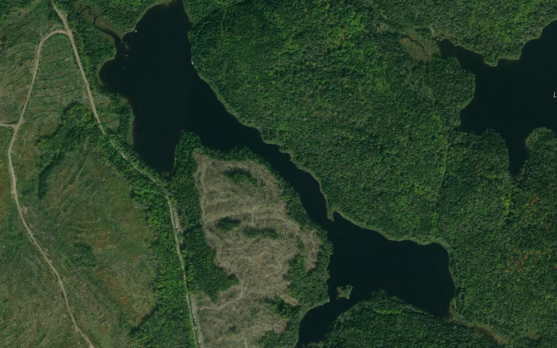 Satellite map of the Lac Ferre