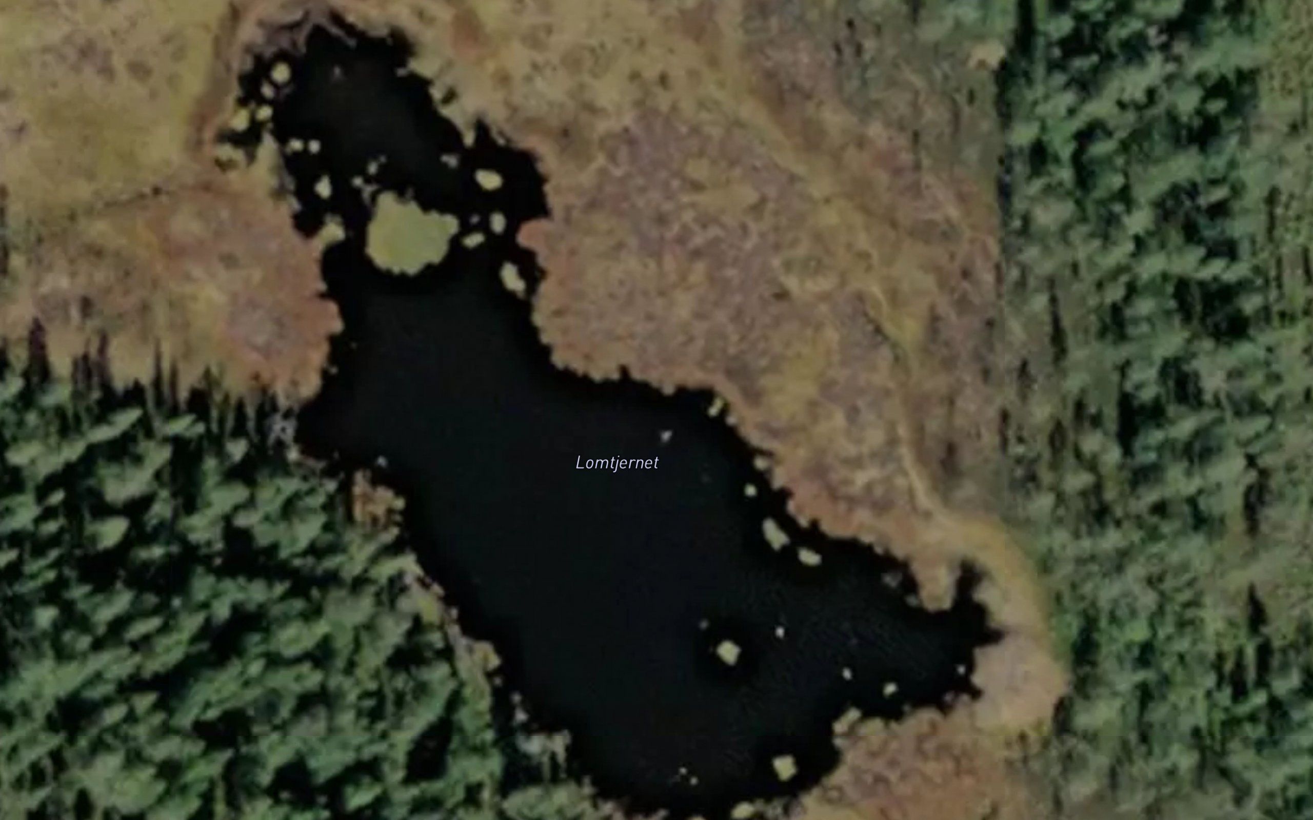 Lomtjernet