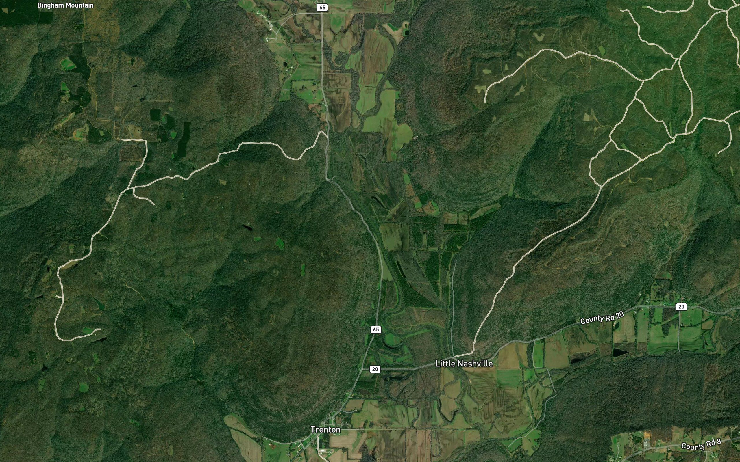 Robertson Spring