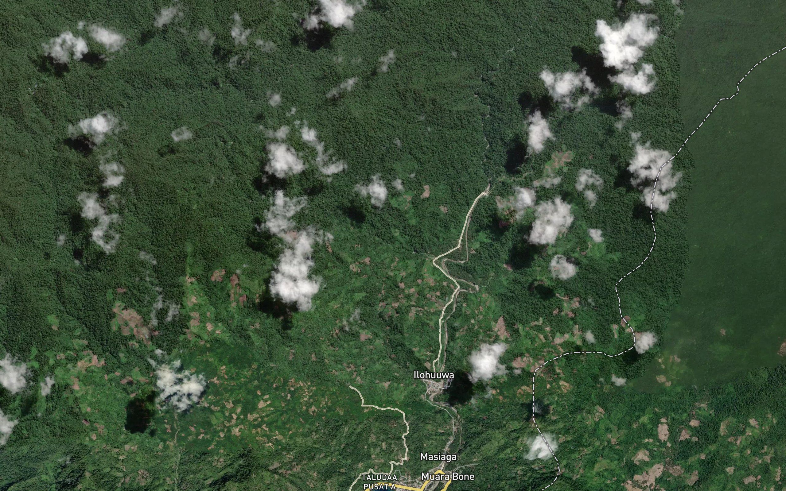Dutula Hulia