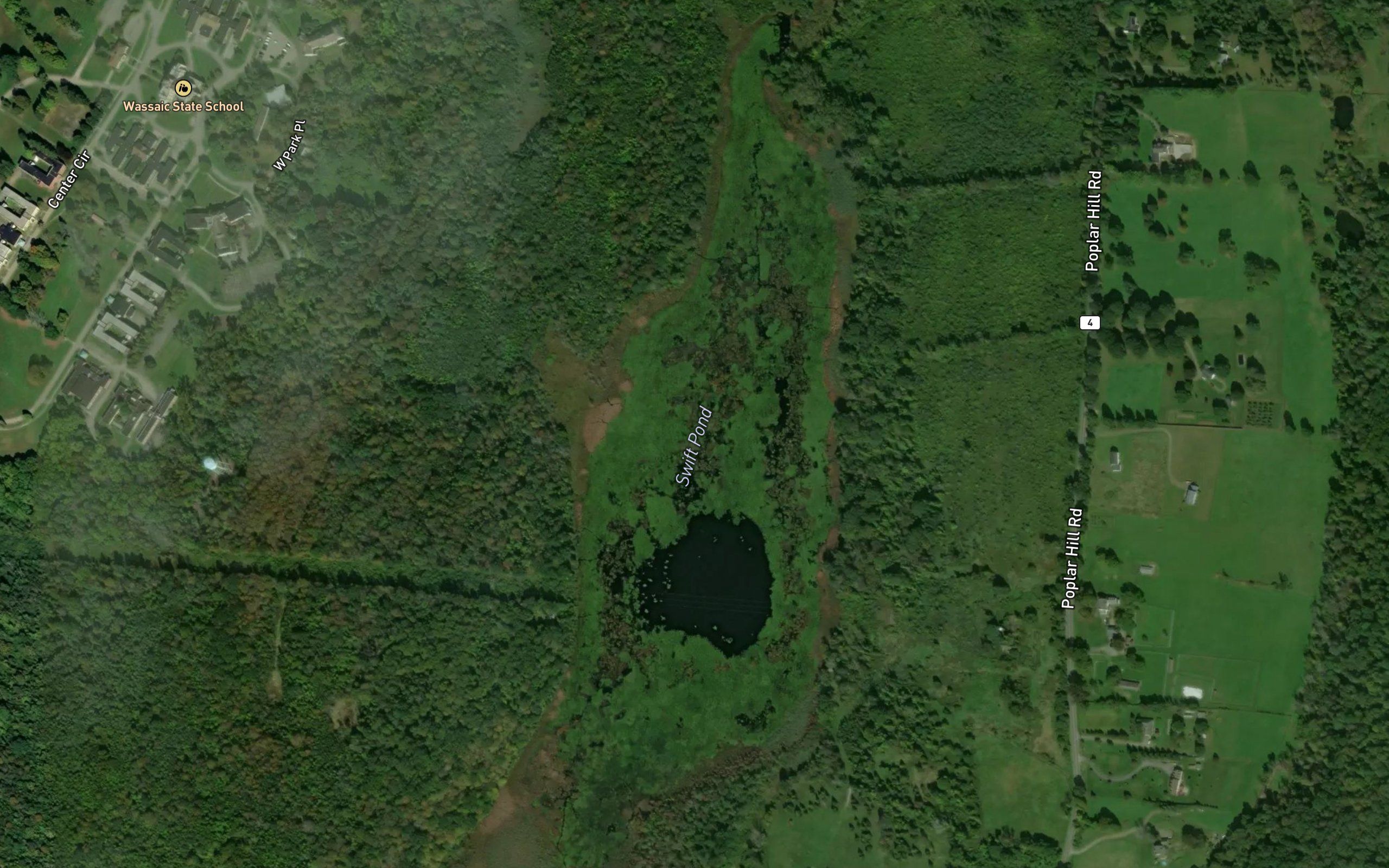 Swift Pond