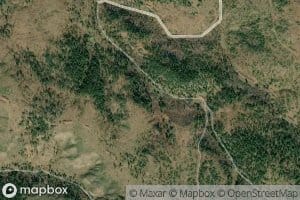 Williams Number Two Spring