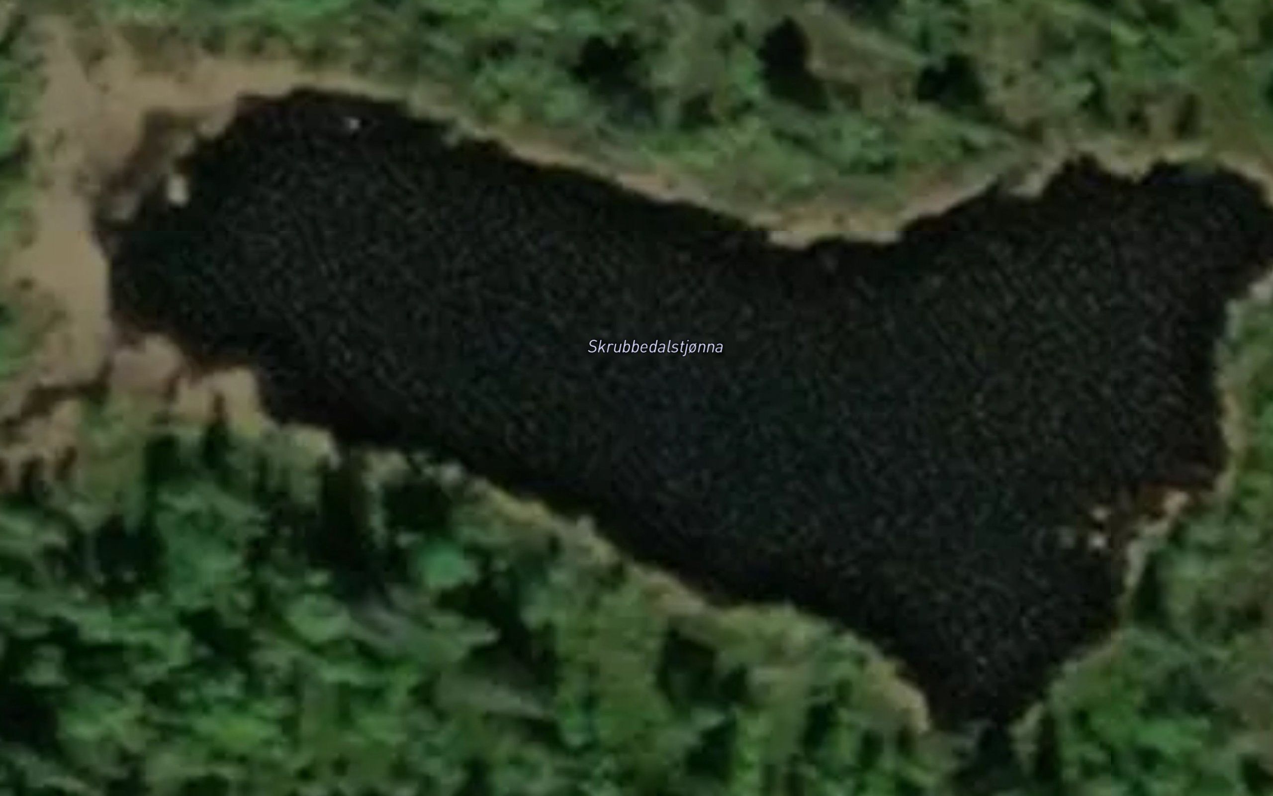 Skrubbedalstjonna