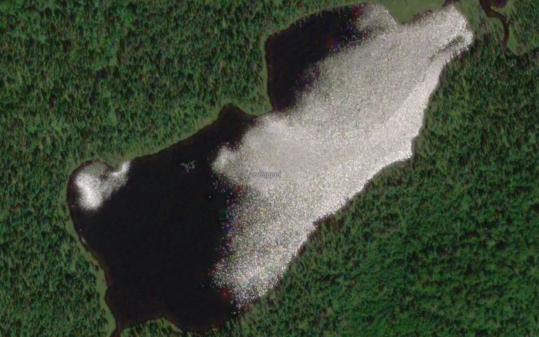 Satellite map of the Lac Cappel