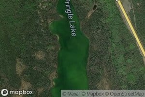 Pringle Lake