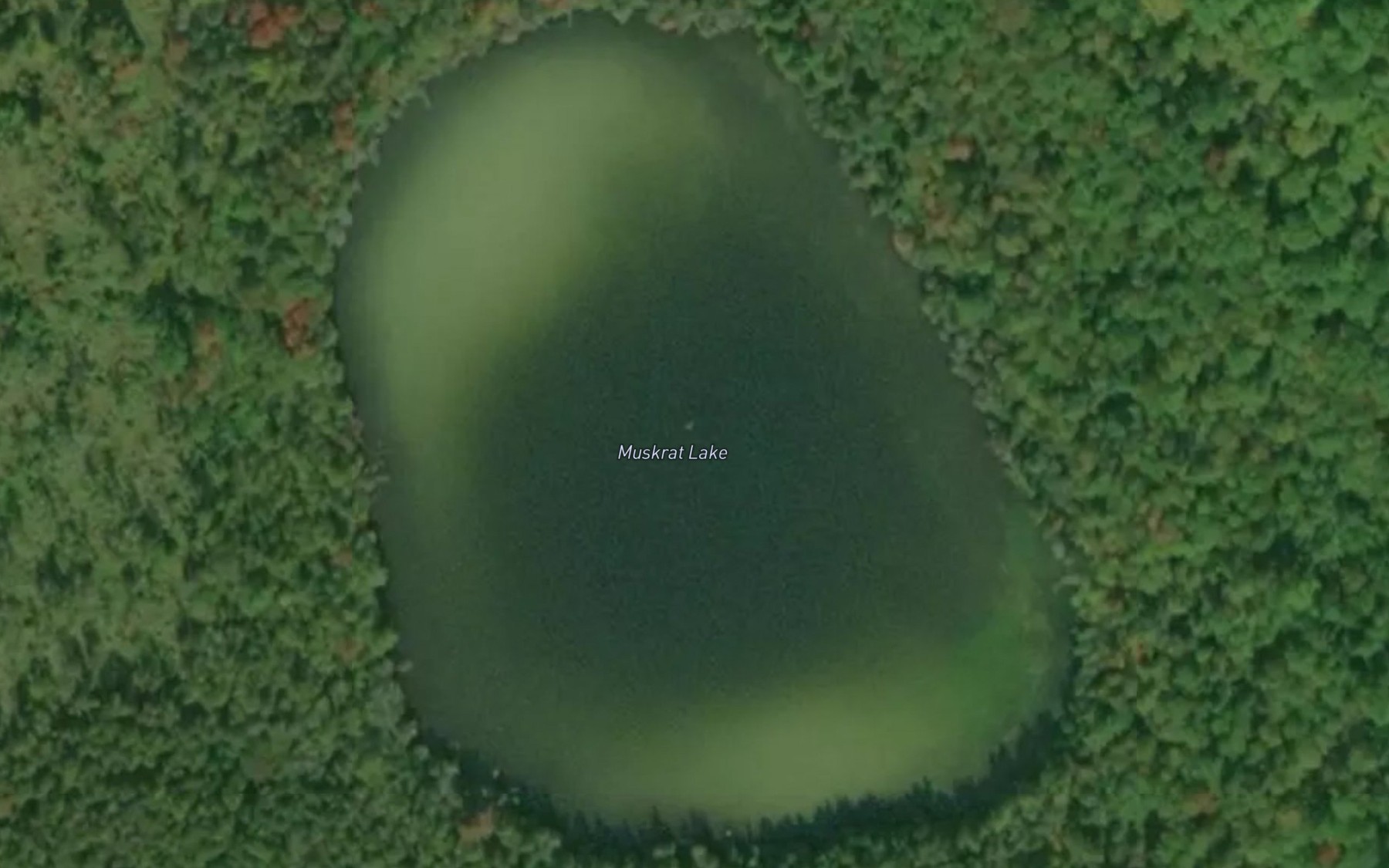 Satellite map of the Muskrat Lake