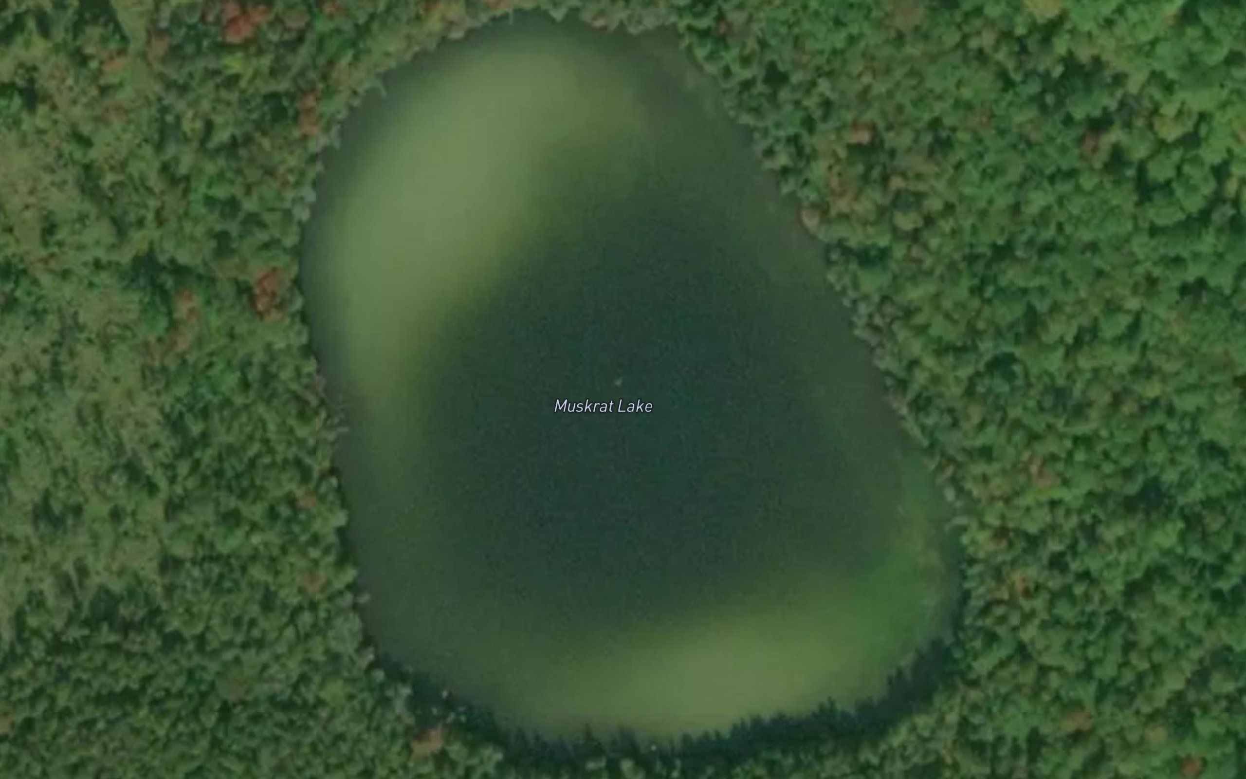 Muskrat Lake