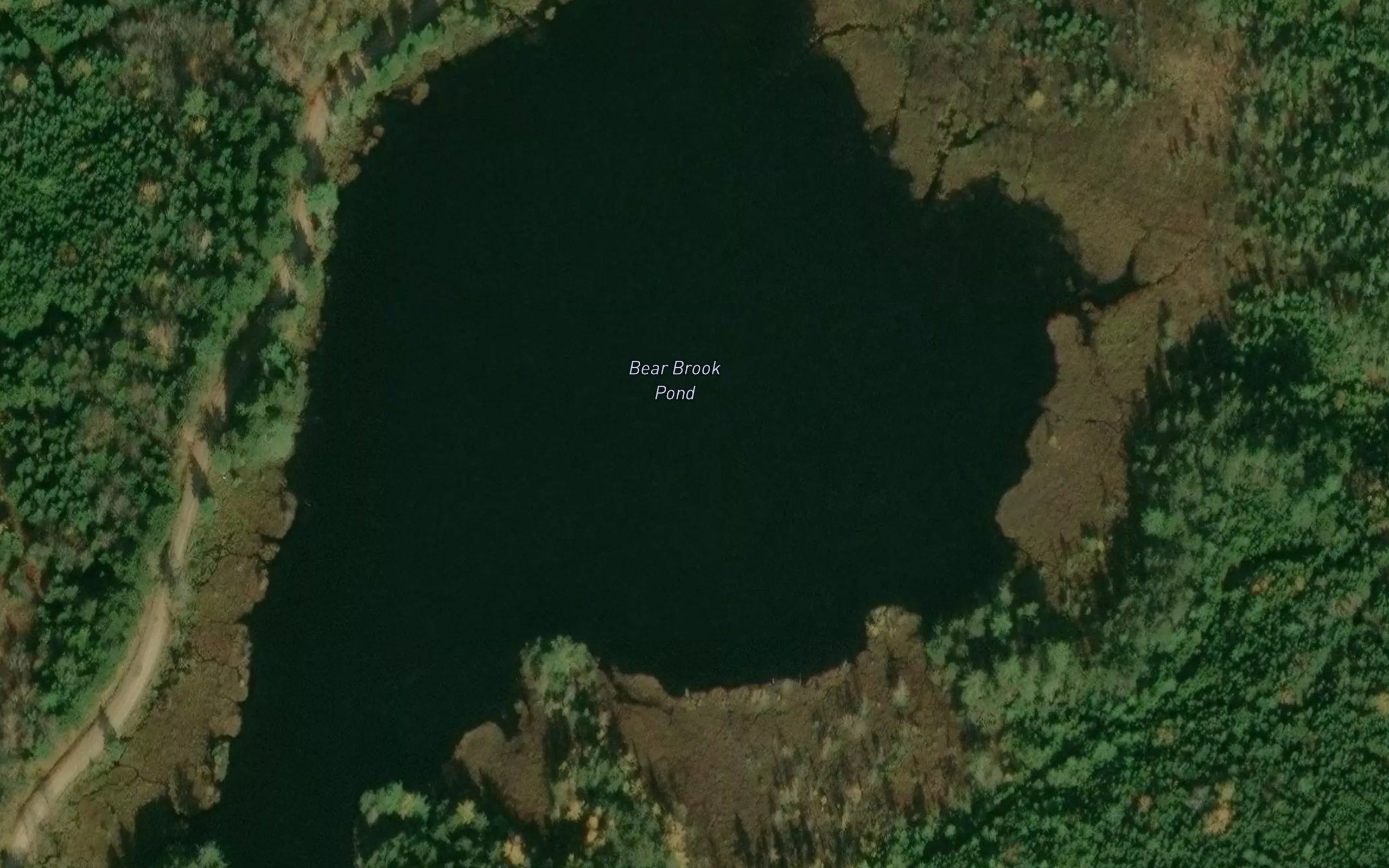 Bear Brook Pond