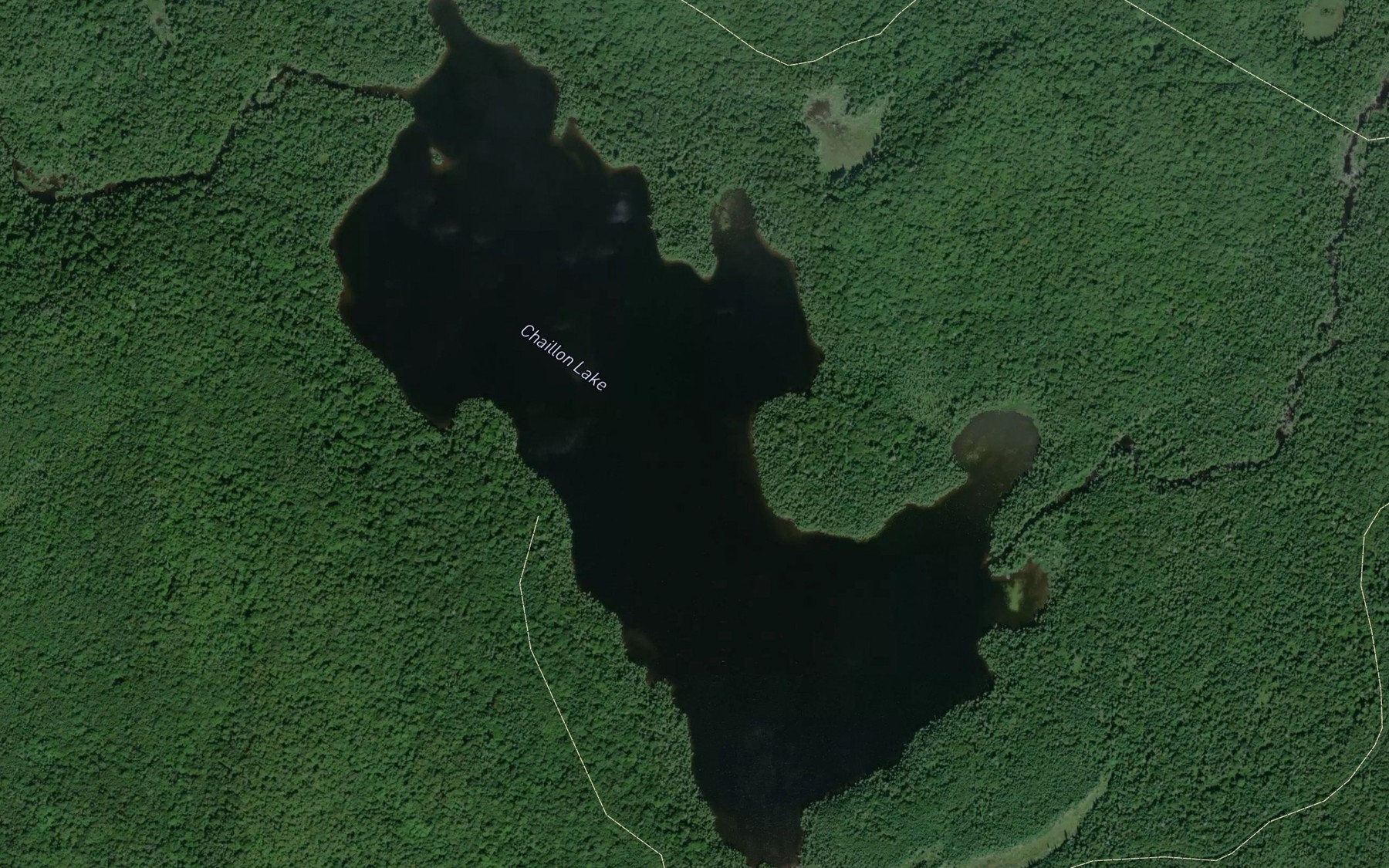 Satellite map of the Chaillon Lake