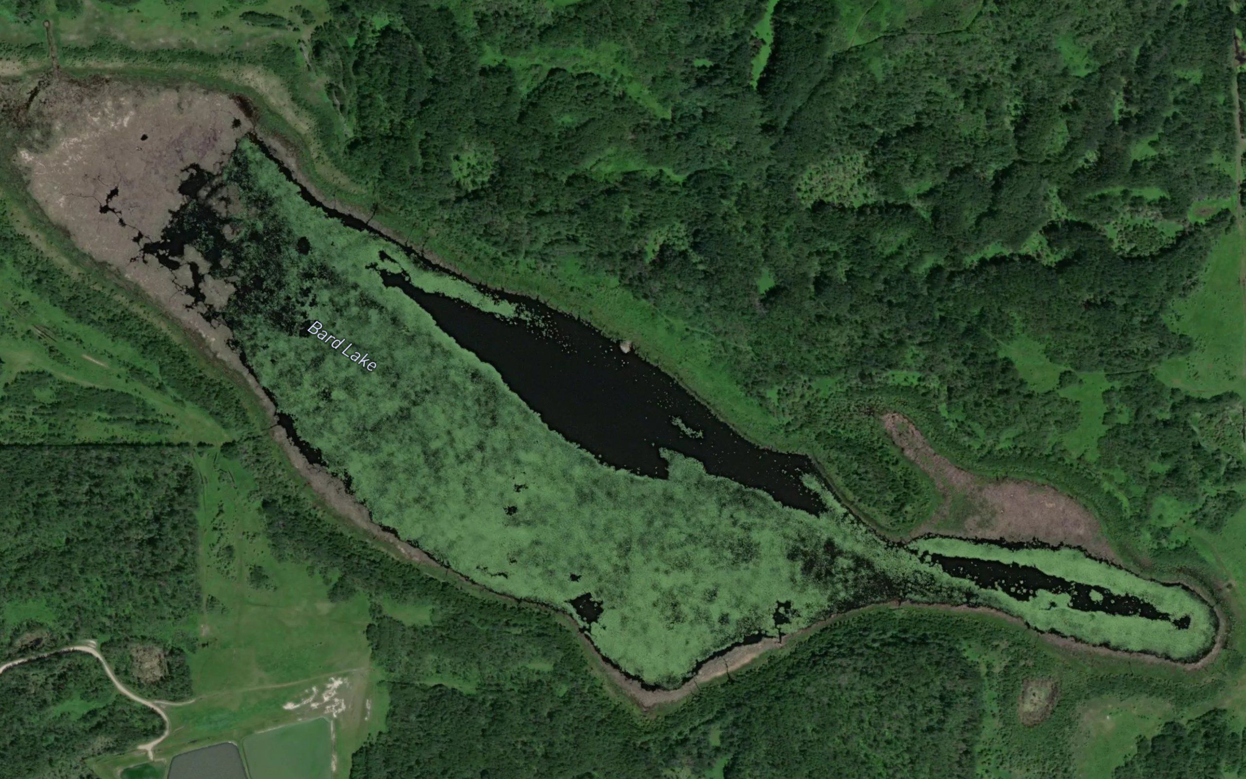 Bard Lake