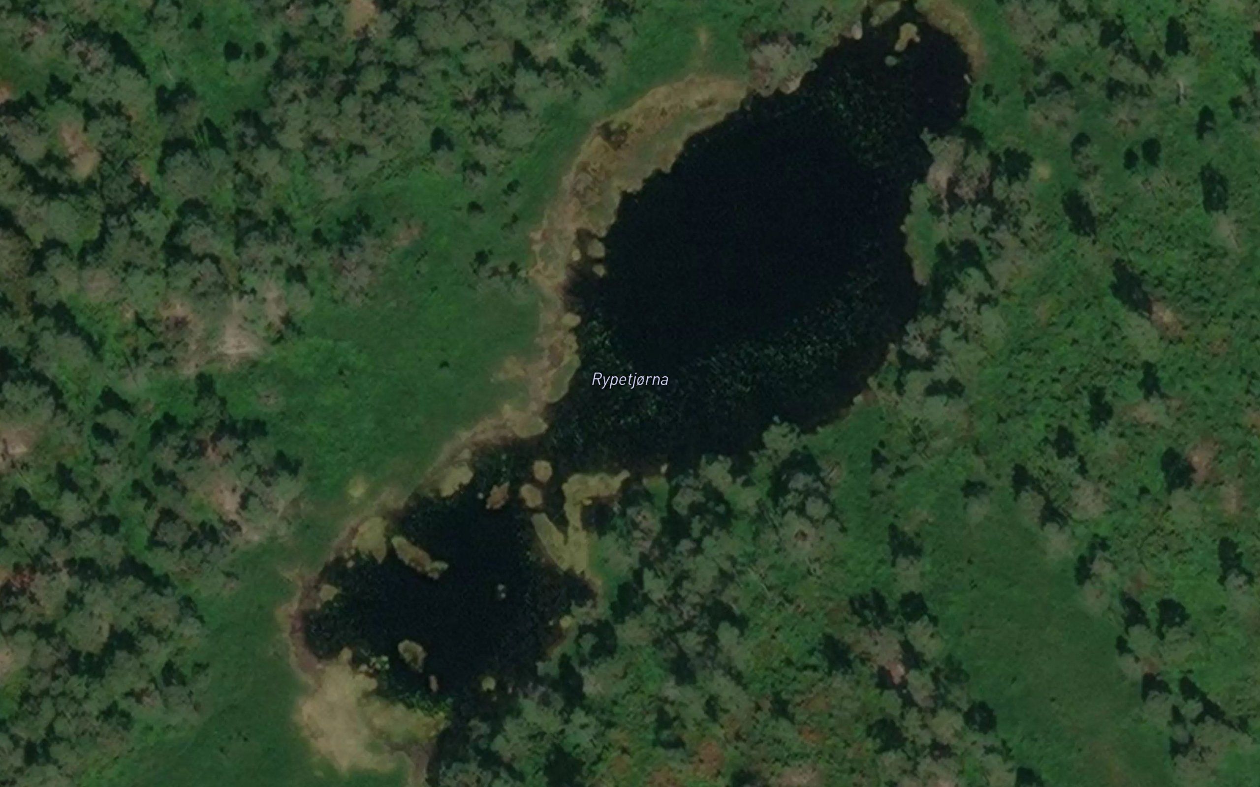 Rypetjorna