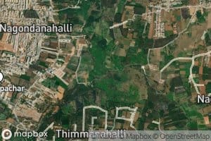 Southern Pinakini River