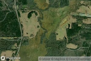 Venado Creek
