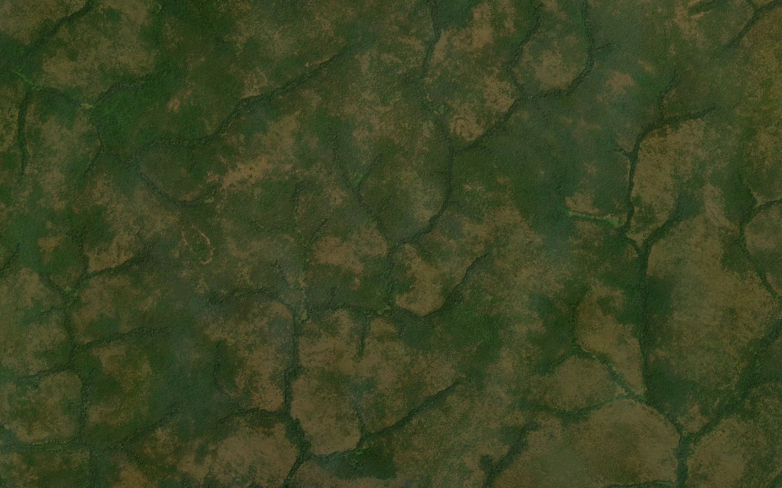 Borotundu