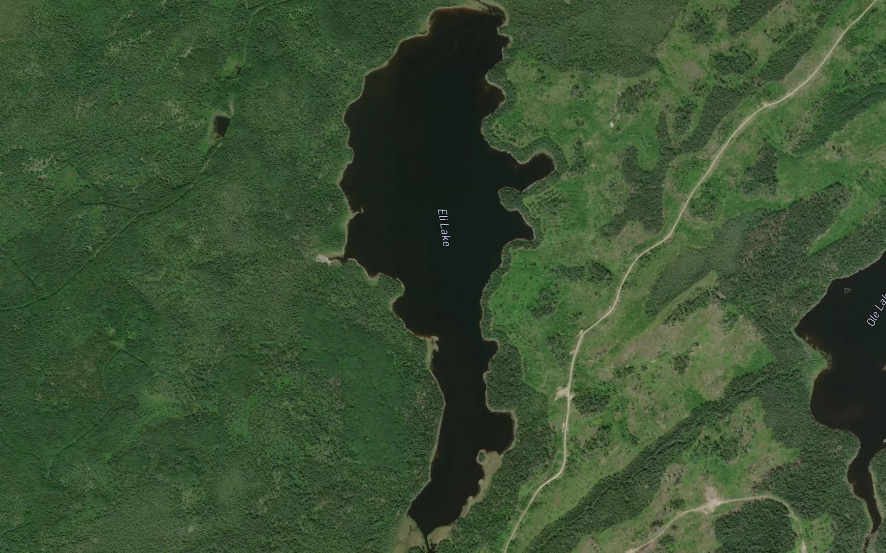 Satellite map of the Eli Lake
