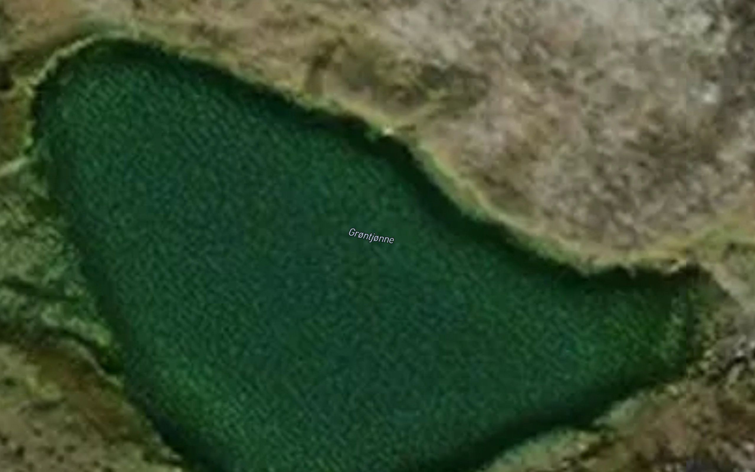 Grontjorni