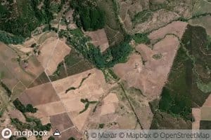 Estero Culenar
