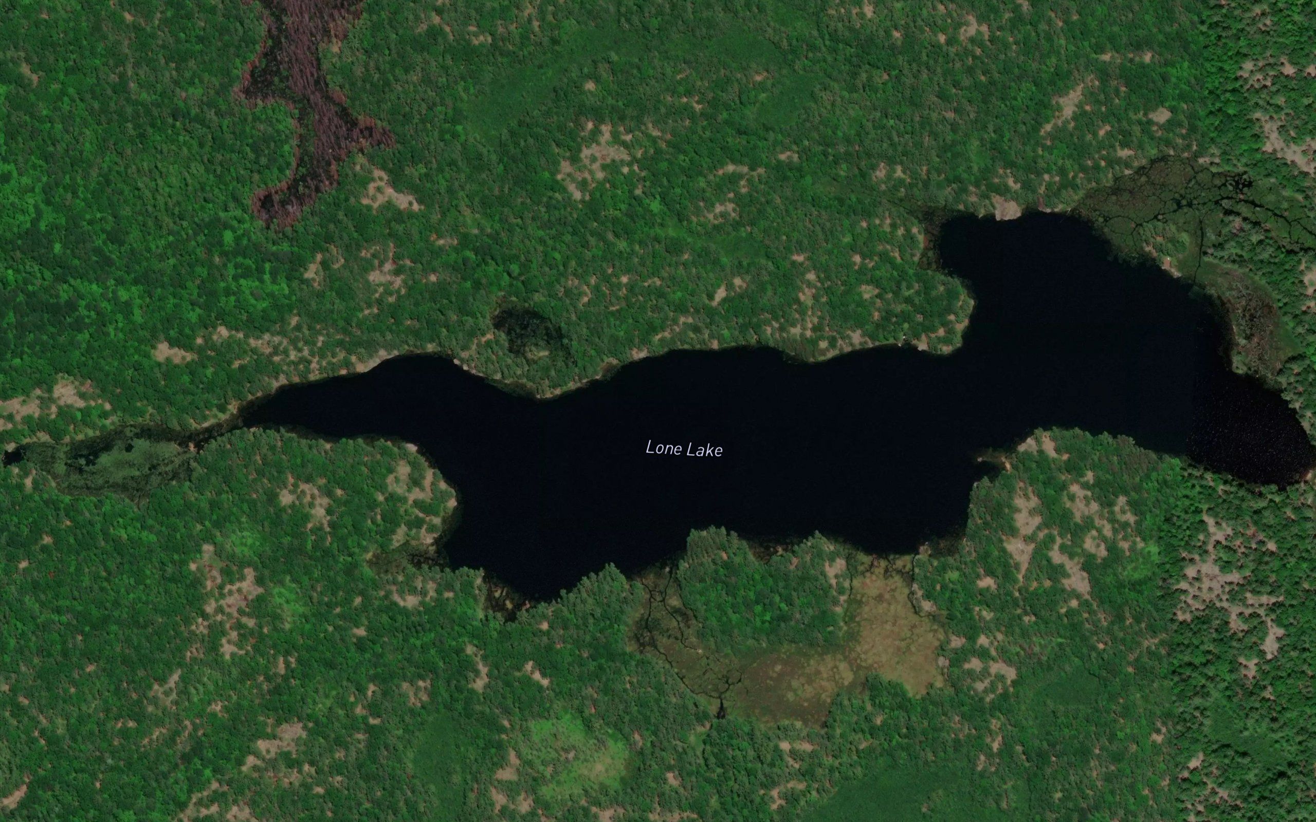 Lone Lake