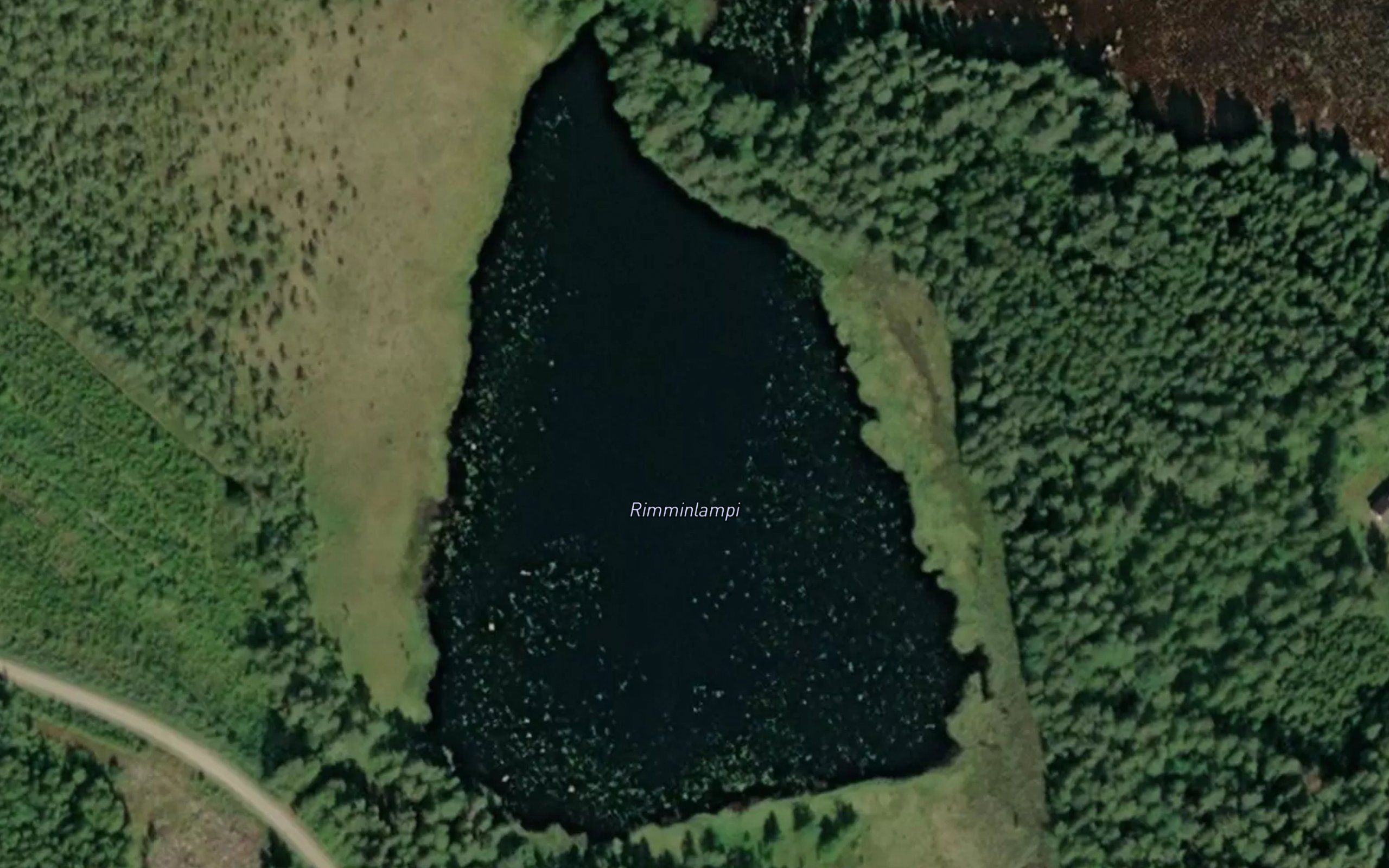 Rimminlampi