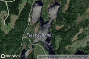 Fleskevann