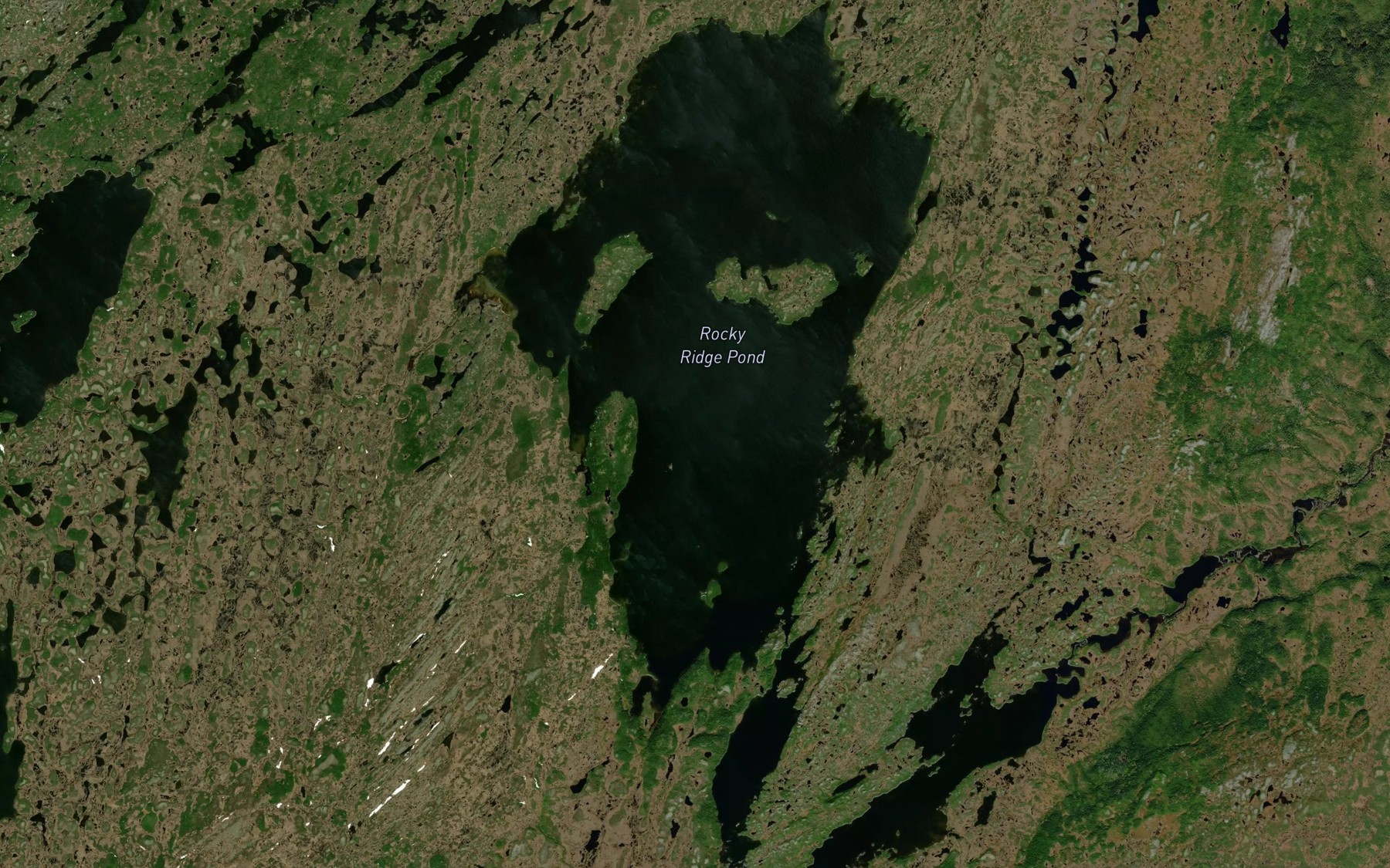 Satellite map of the Rocky Ridge Pond