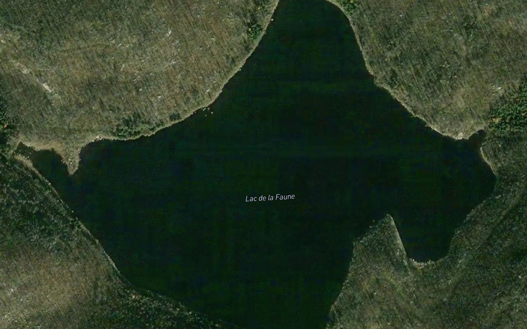 Satellite map of the Lac de la Faune