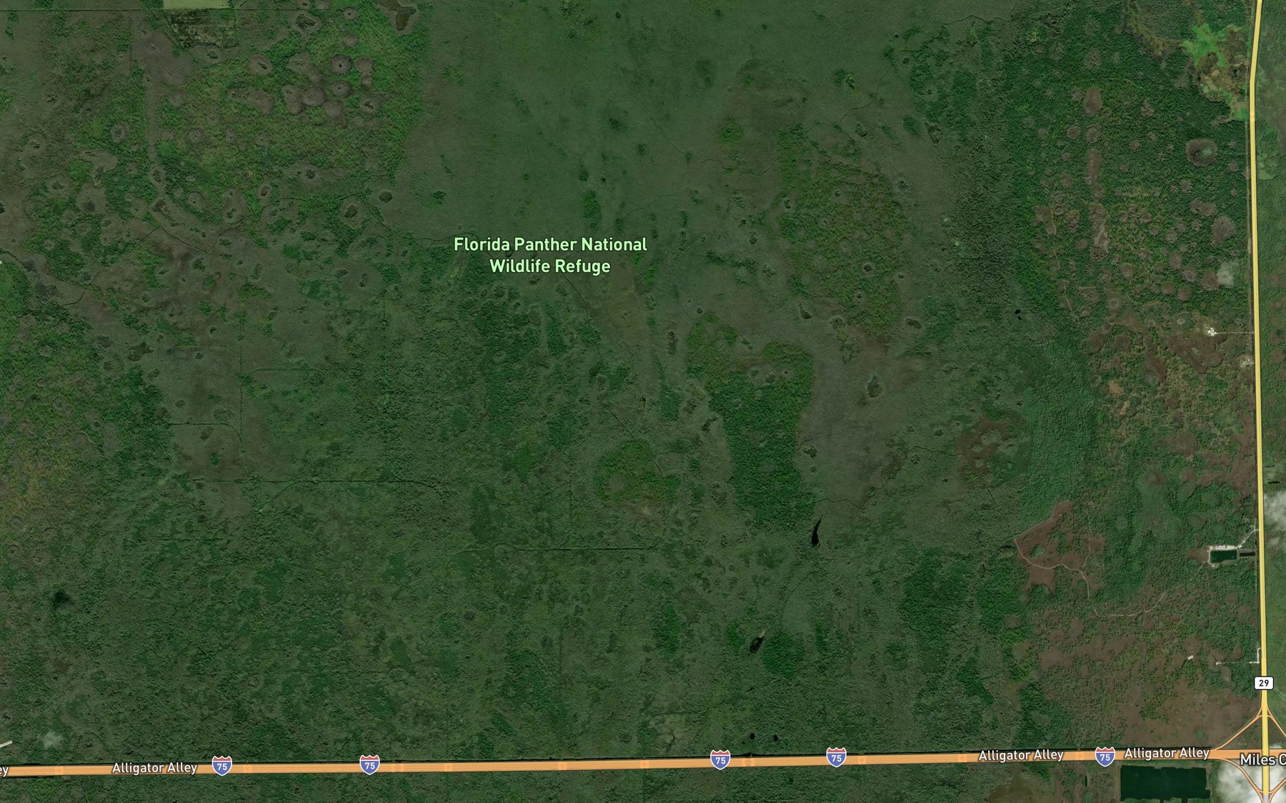 Satellite map of the Clearwater Pond