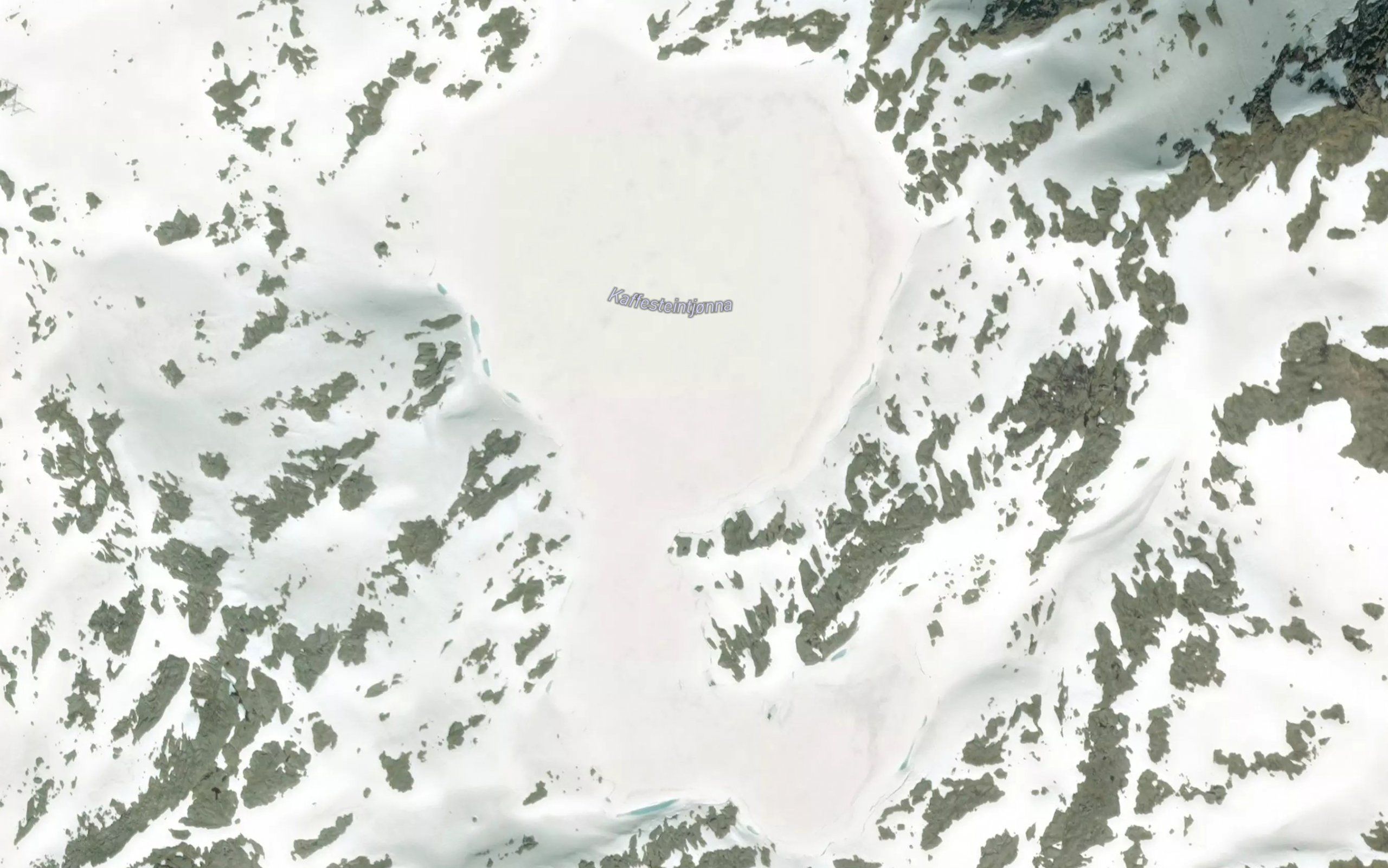 Kaffisteintjorna