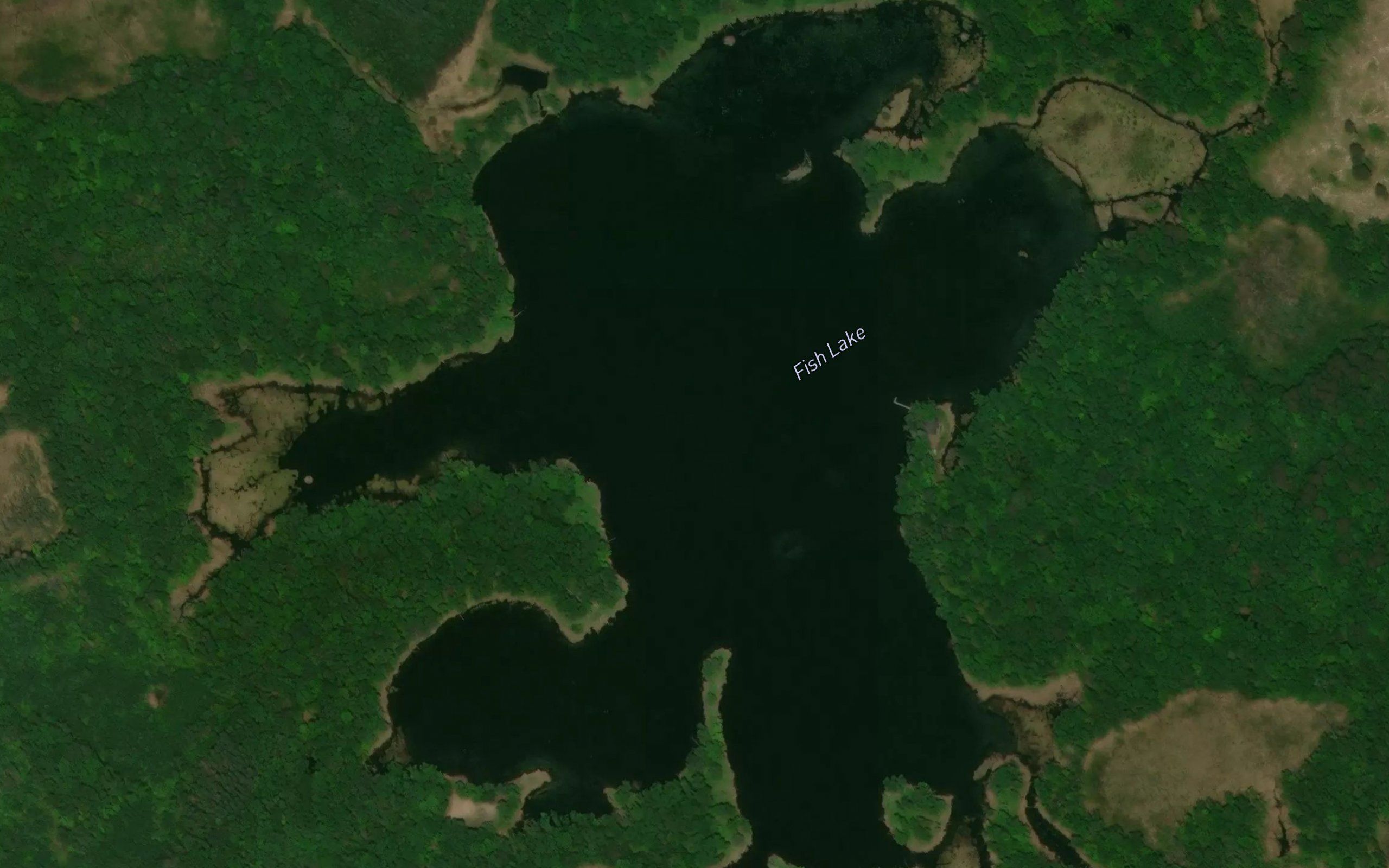 Fish Lake