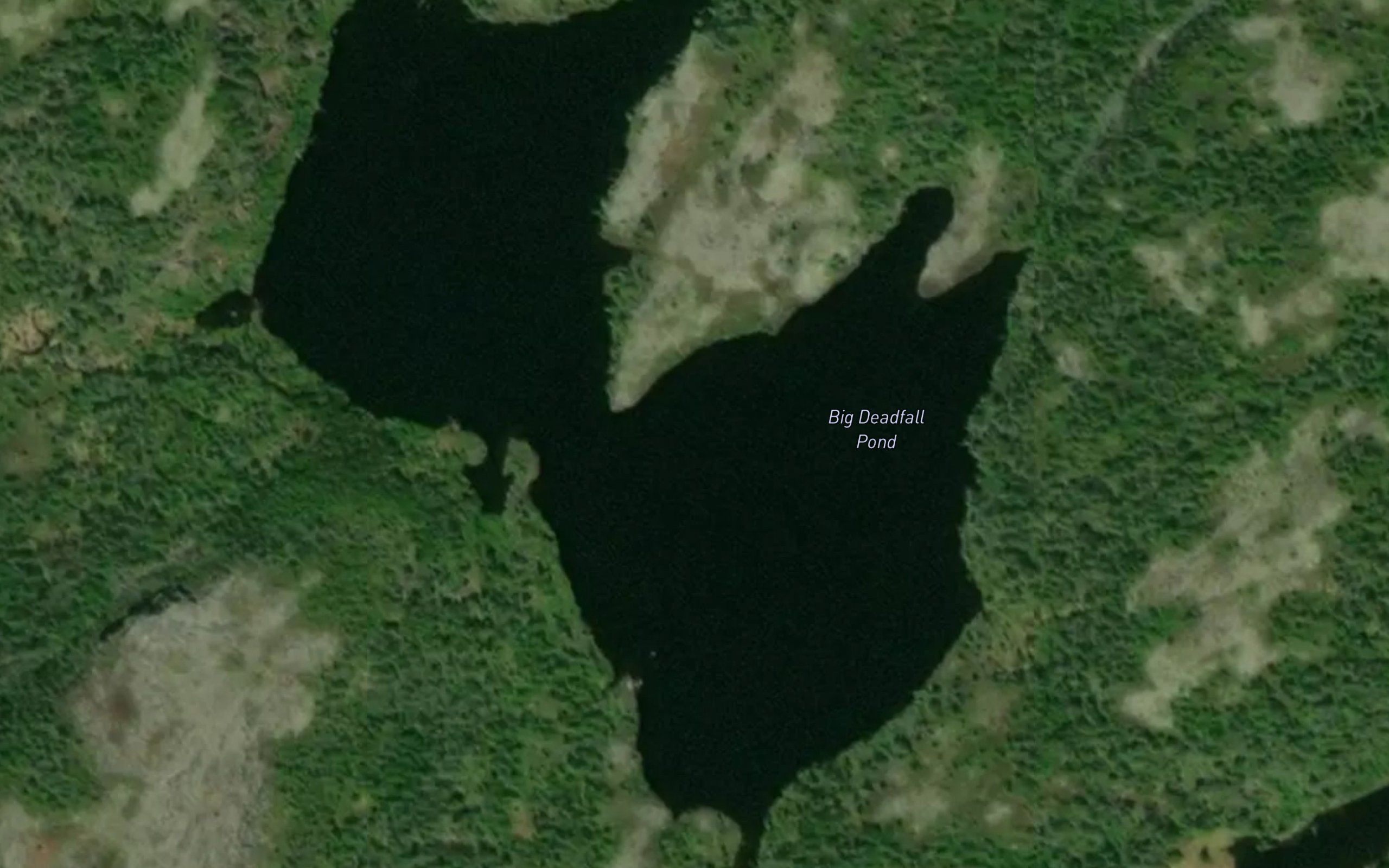 Big Deadfall Pond