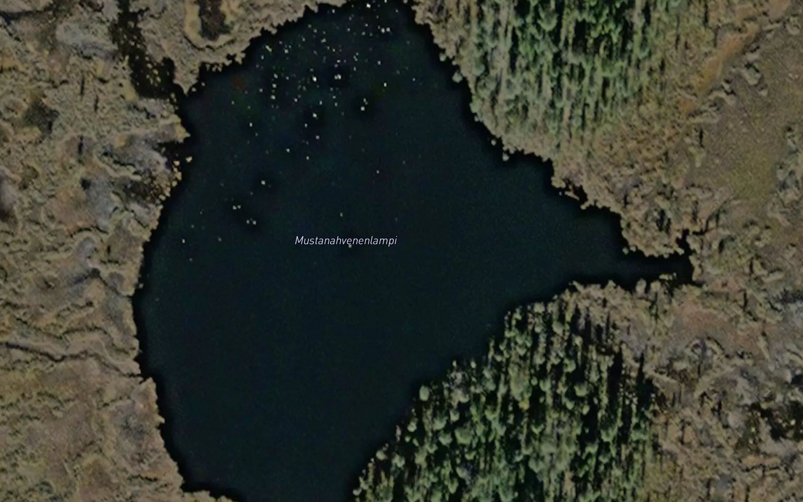 Mustanahvenenlampi