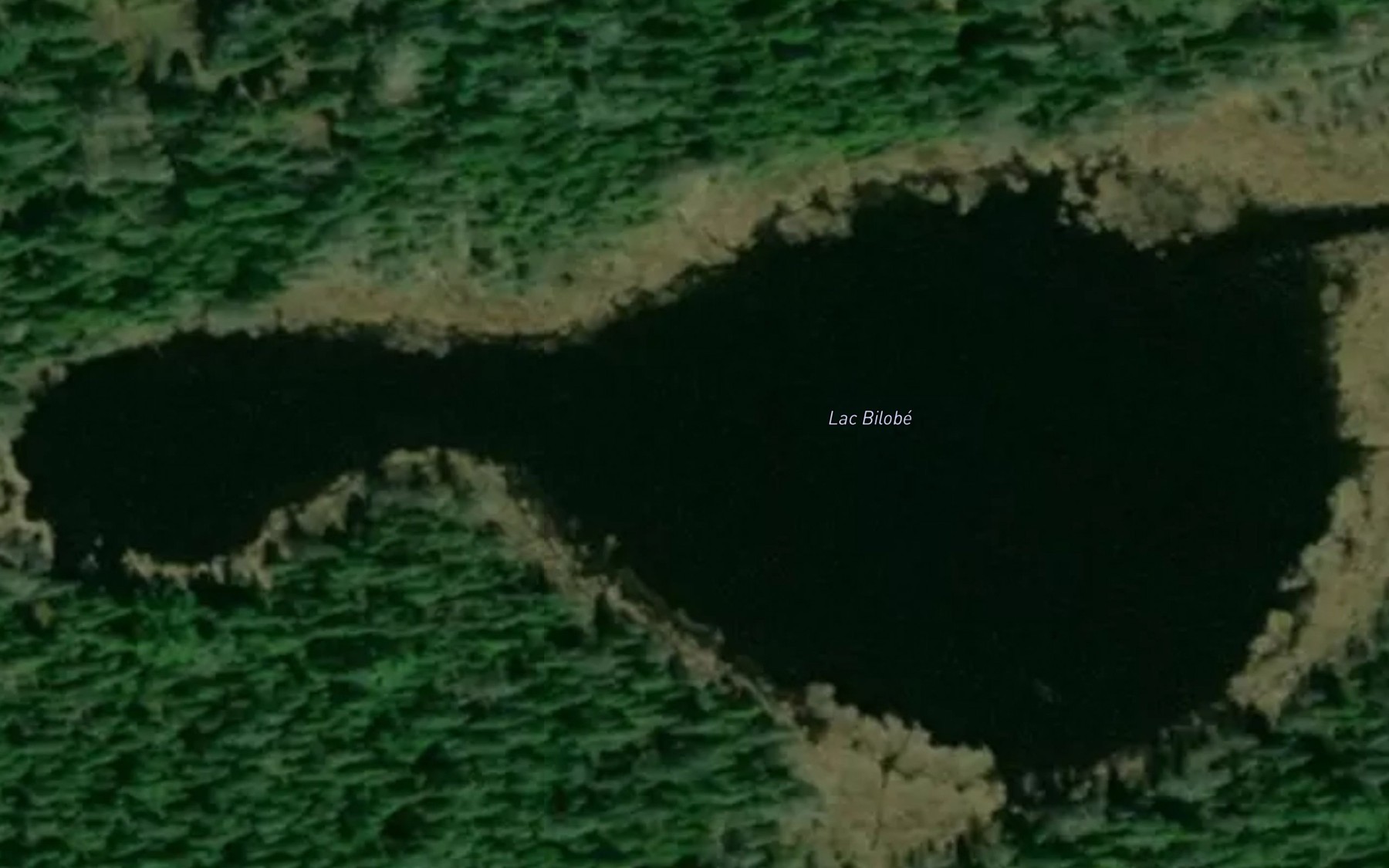 Satellite map of the Lac Bilobe