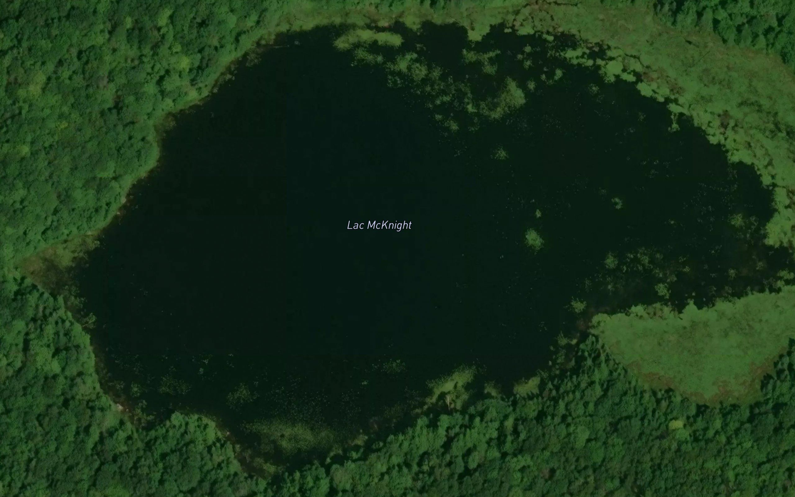 Lac McKnight